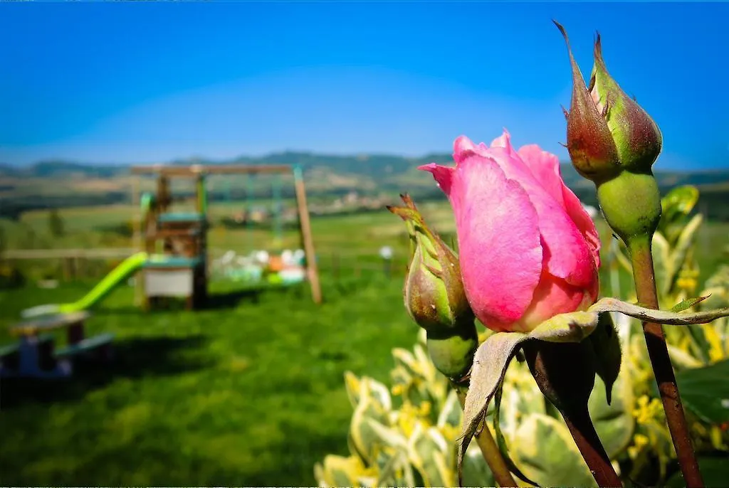 Agriturismo Il Canterino Guardistallo Κατάλυμα σε φάρμα