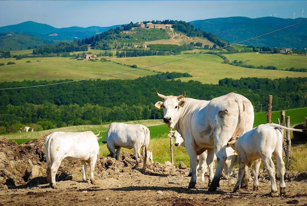 Κατάλυμα σε φάρμα Agriturismo Il Canterino Guardistallo Ιταλία
