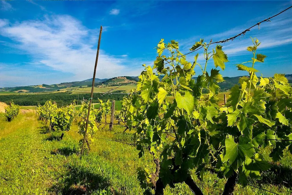 Agroturismo Agriturismo Il Canterino Guardistallo